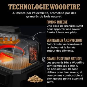 Barbecue et fumoir électrique Ninja Woodfire Pro Connect OG901EU 1700 W Bleu et Gris